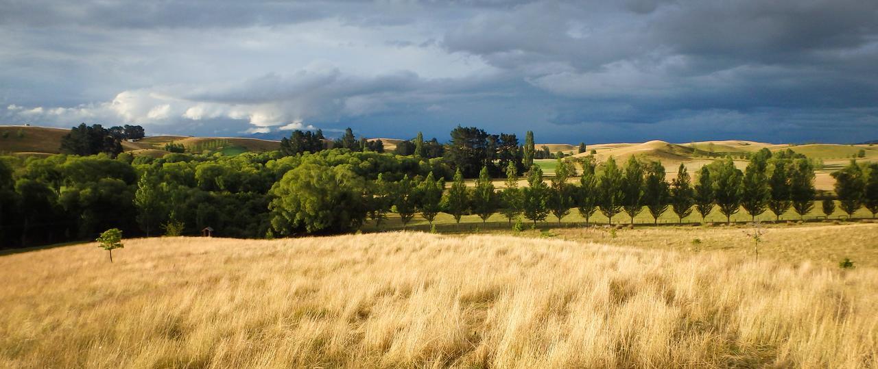 Tree House Lodge Bed & Breakfast Cheviot Dış mekan fotoğraf