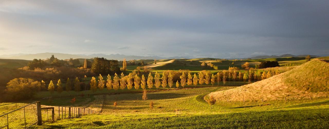 Tree House Lodge Bed & Breakfast Cheviot Dış mekan fotoğraf
