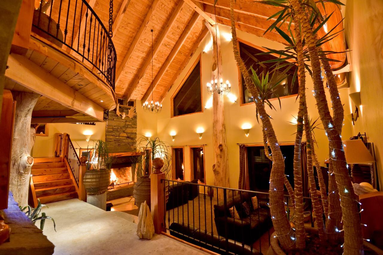 Tree House Lodge Bed & Breakfast Cheviot Dış mekan fotoğraf