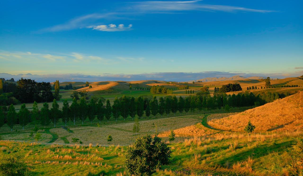 Tree House Lodge Bed & Breakfast Cheviot Dış mekan fotoğraf