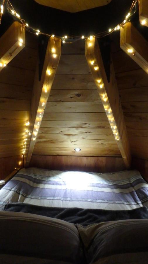 Tree House Lodge Bed & Breakfast Cheviot Dış mekan fotoğraf